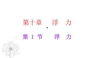 浮力第17页国产,浮力原理在现代工程应用中的关键作用